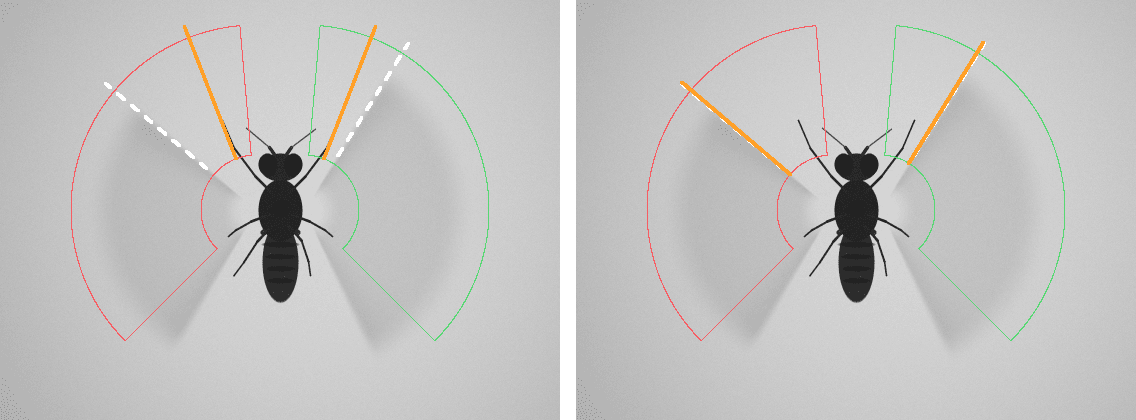 Front legs reaching forward. White dashes: the true leading edge. Orange: the detected edge. Classic detector (left) vs. Rekkefly (right).